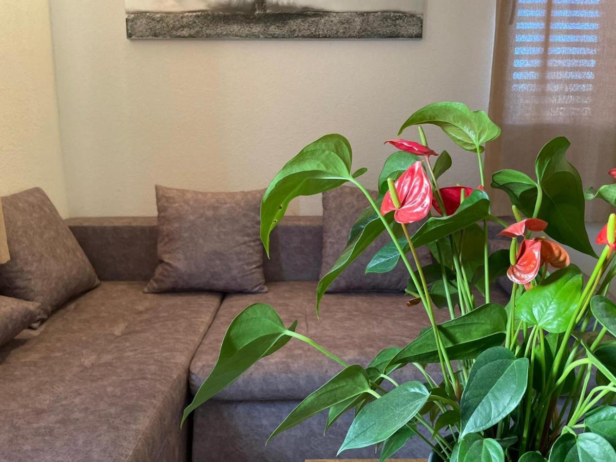 Apartman Dona *